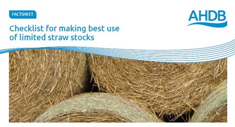 a close-up of a bale of hay